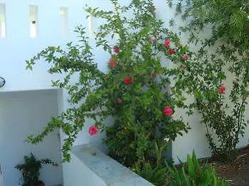 Appartamento Alykes & Agios Prokopios (Naxos)
